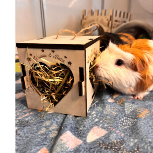 Small Animal Hay Cube, Guinea Pig Hay Box, Small Animal Toy, Hamster hayfeeder, Hamster toy (READ dimensions in description before purchase)