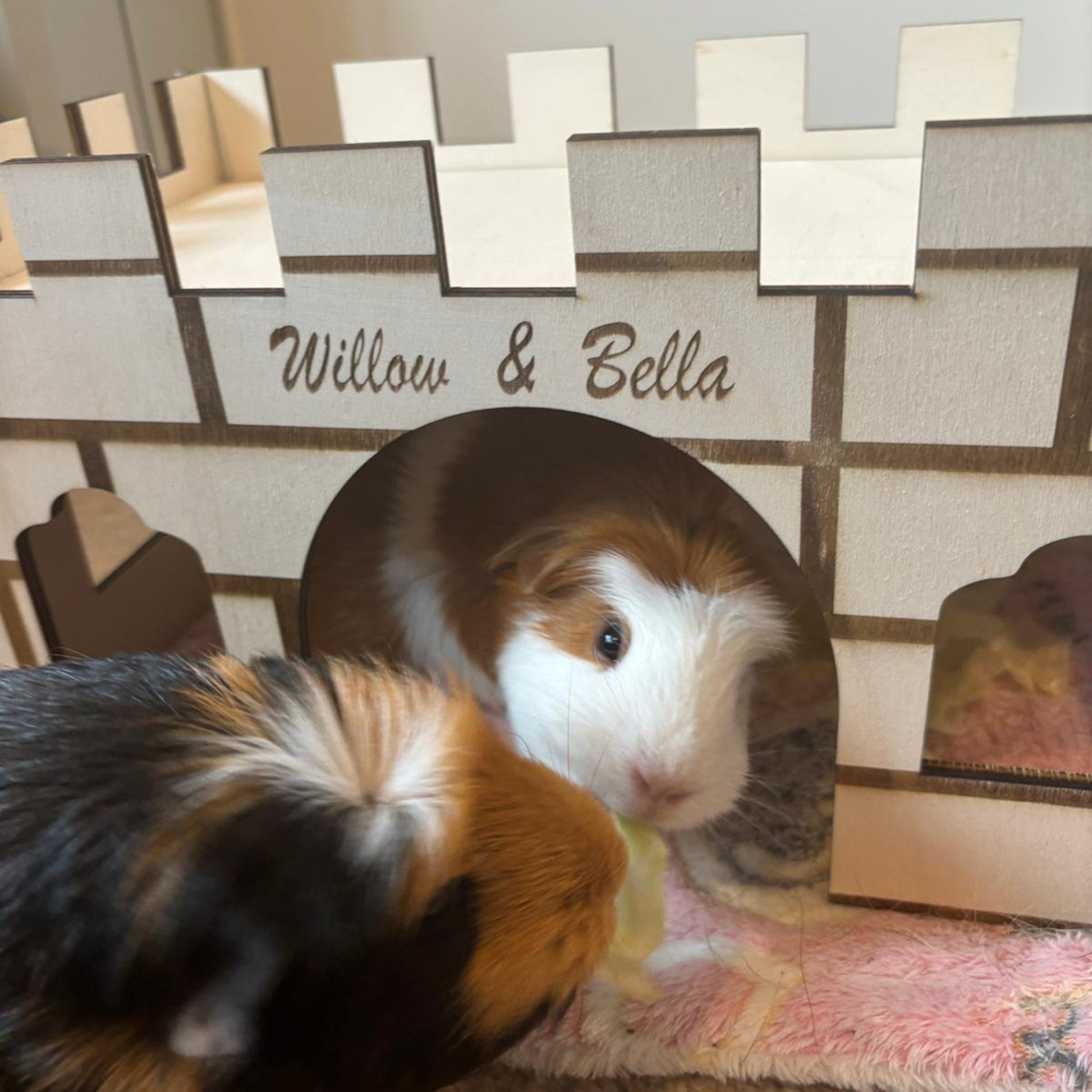 Guinea Pig and Hamster Castle House - Formaldehyde Free, Non Toxic, Wooden, Slot Together & Modular