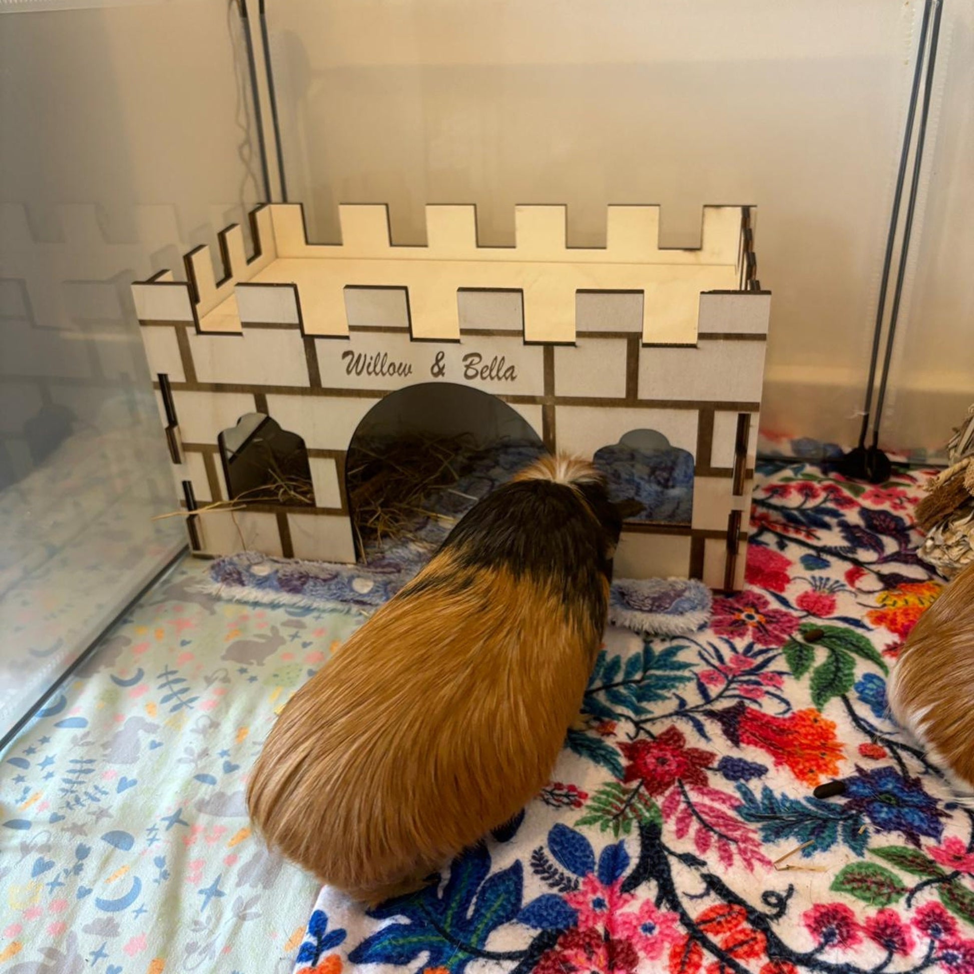 Guinea Pig and Hamster Castle House - Formaldehyde Free, Non Toxic, Wooden, Slot Together & Modular