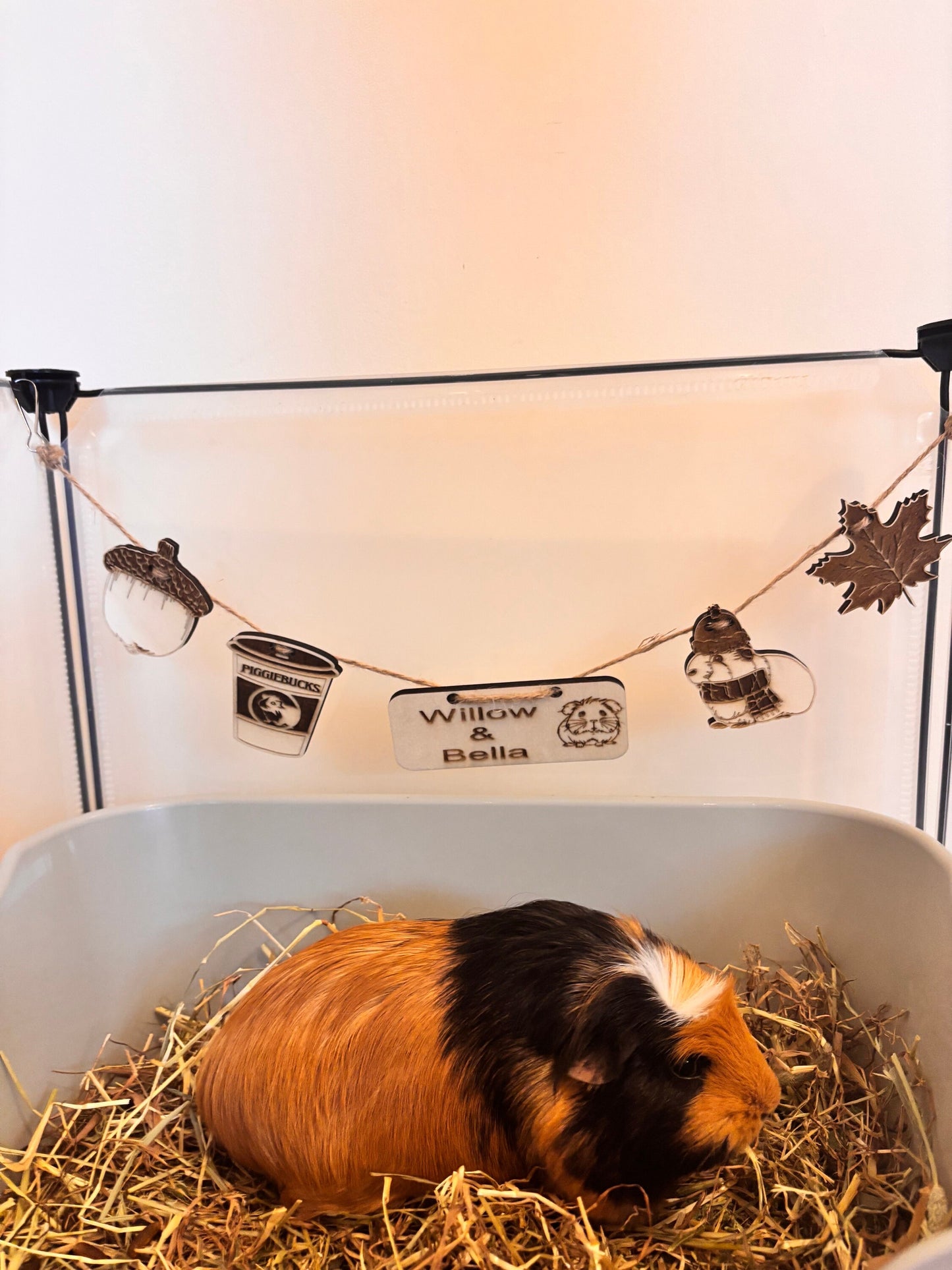 Personalized Guinea Pig sign & Cage Decoration - Formaldehyde Free Plywood | Custom