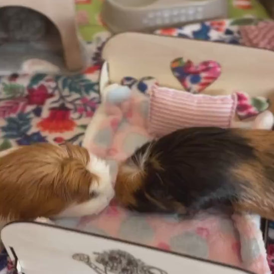 Small Animal Bed suitable for Guinea Pigs and Rabbits,  This Bed is personalised with your small animal's name on the side of the bed.